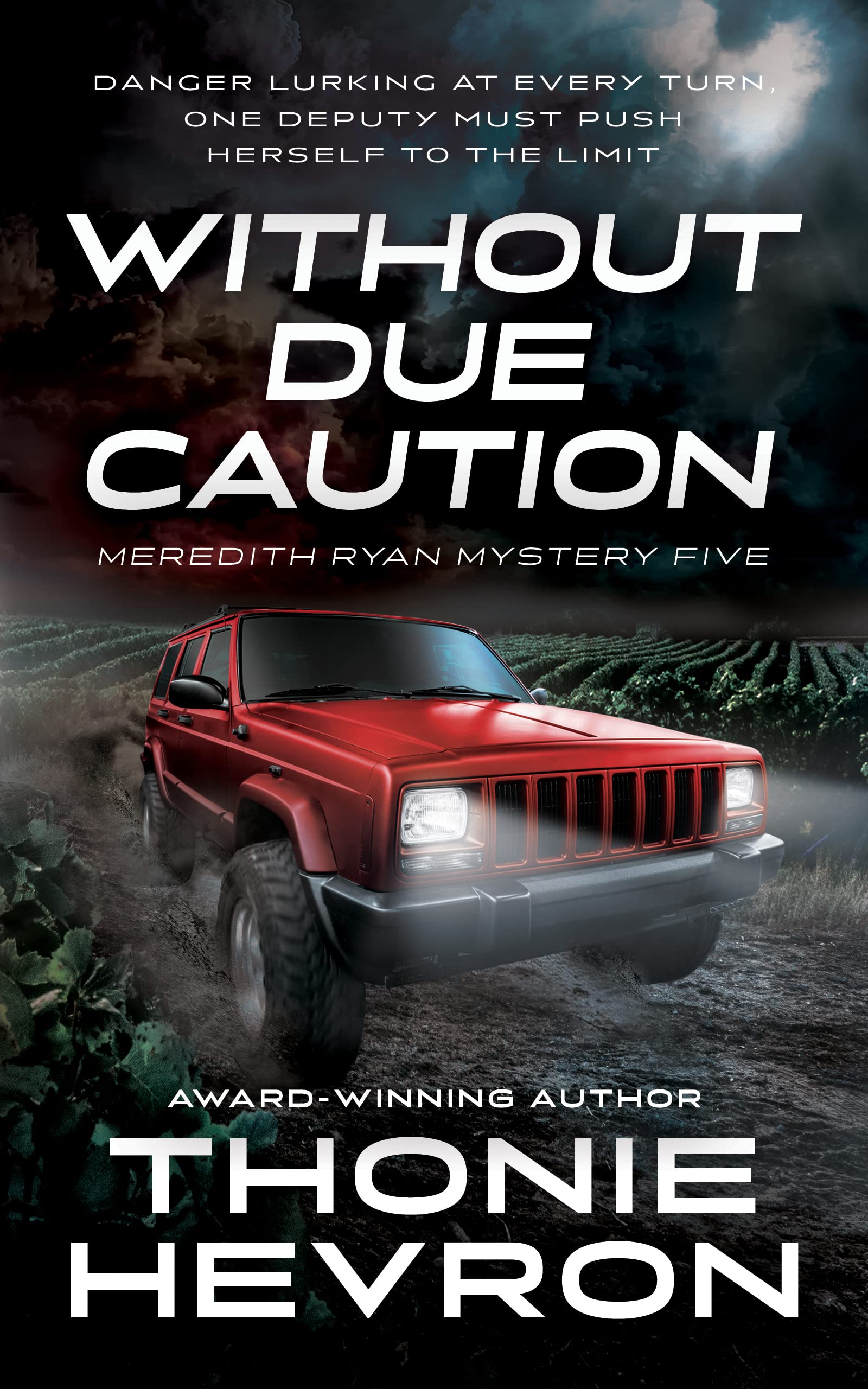Without Due Caution: A Women's Mystery Thriller (Meredith Ryan Mystery Book 5)