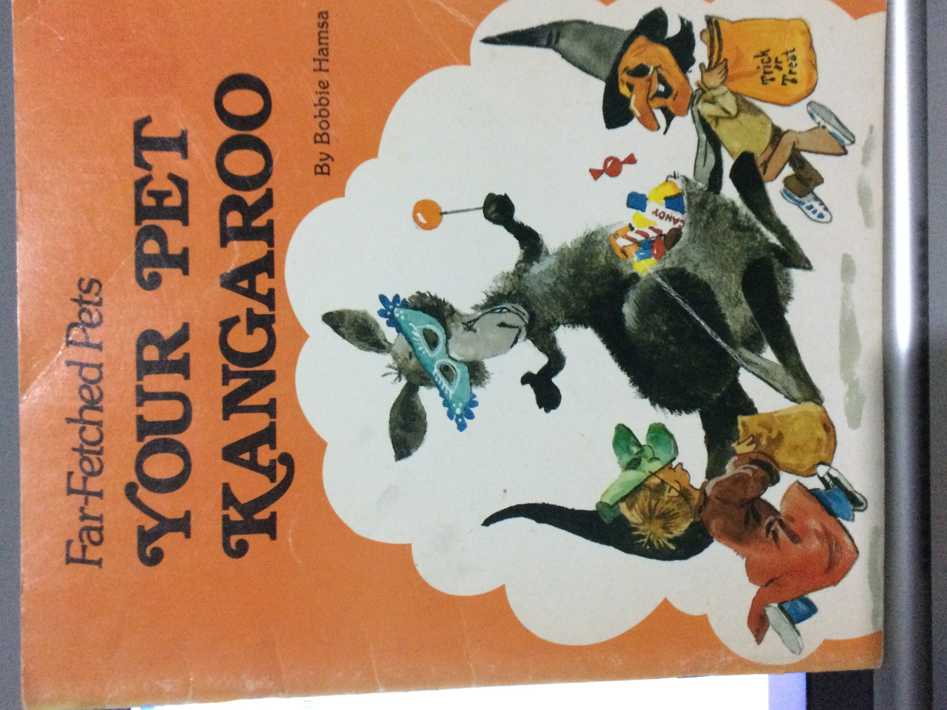 Your Pet Kangaroo