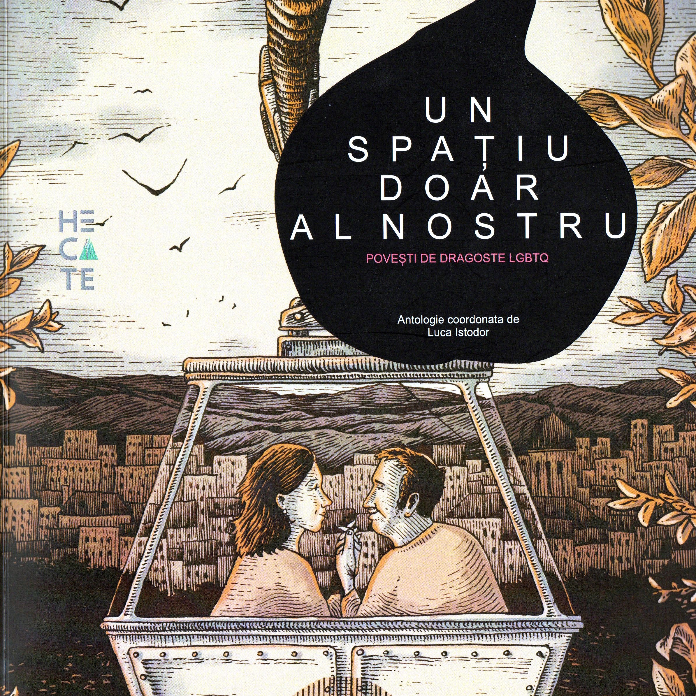 Un spațiu doar al nostru. Povești de dragoste LGBTQ (Paperback)