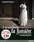A LA RECHERCHE DE LA LUMIERE NOUVEAU PRIX by Ibarionex Perello