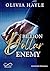 Billion Dollar Enemy (Seattle Billionaires, #1)
