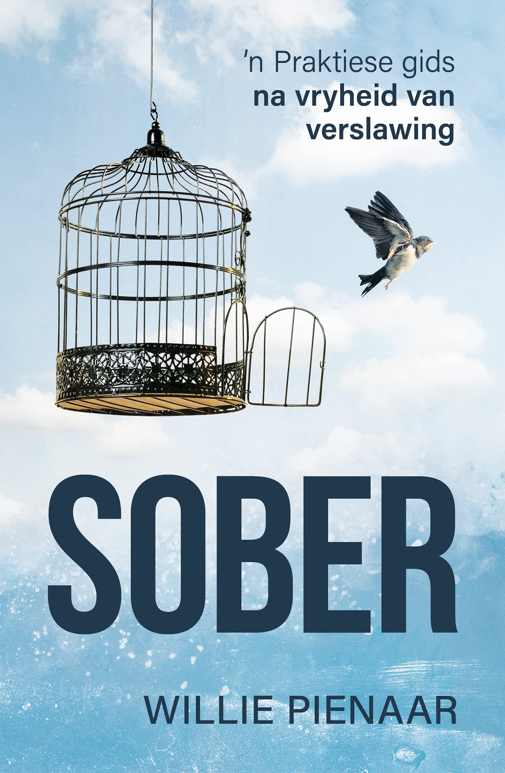 Sober: ’n Praktiese gids na vryheid van verslawing (Afrikaans Edition)
