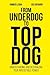 FROM UNDERDOG TO TOP DOG: U...