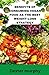 Benefits of consuming vegan food as the best weight-loss stra... by Dexter Murphy