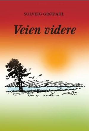 Veien videre