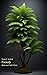 Fronds: Stories and Flash F...