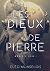 Les Dieux de Pierre: Aesir - Livre 1 (French Edition)