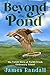 Beyond the Pond: The Untold...