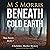 Beneath Cold Earth (DCI Tom Raven #2)