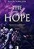 The Fake Hope (Hope, #1)