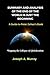 SUMMARY AND ANALYSIS OF THE END OF THE WORLD IS JUST THE BEGI... by Joseph A. Murray