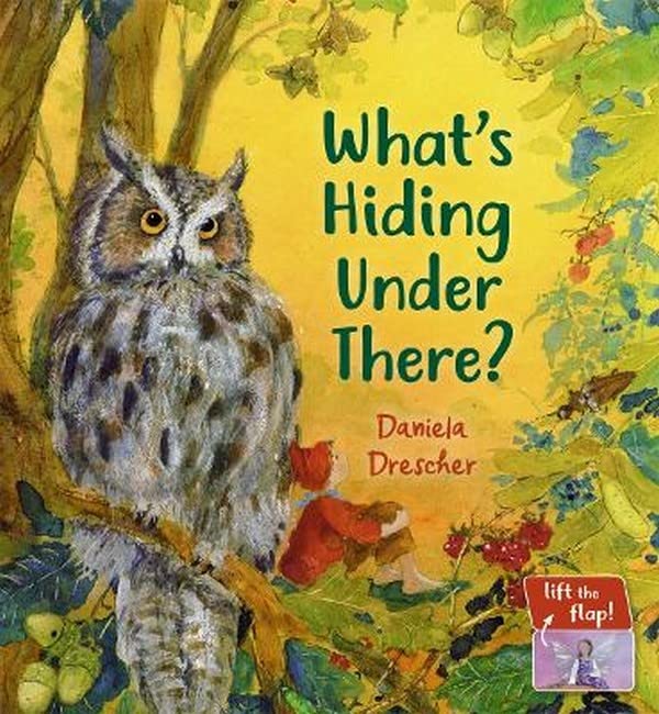 What's Hiding Under There?: A Magical Lift-the-Flap Book (Daniela Drescher Favorite Characters)