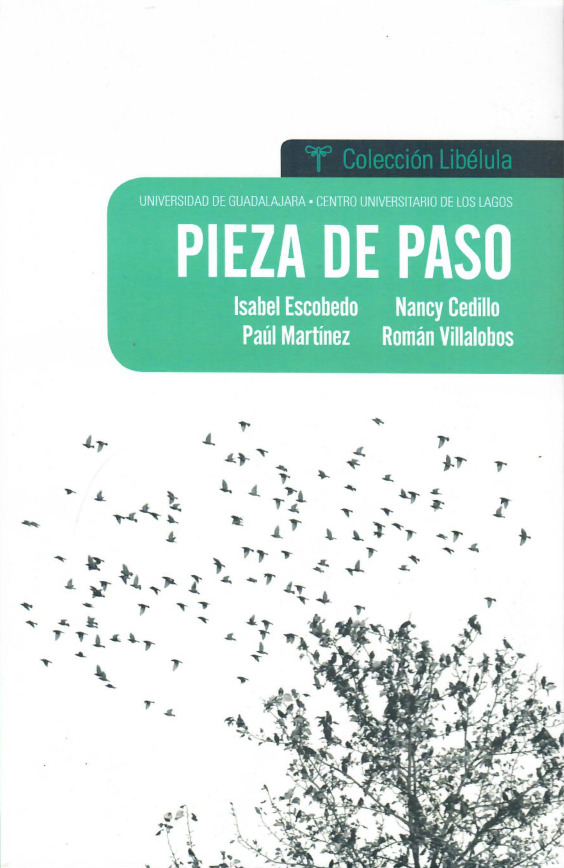 Pieza de paso