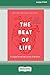 The Beat of Life by Reinhard Friedl