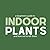 A Beginners Guide to Indoor Plants and How Not to Kill Them by Ruby Lane