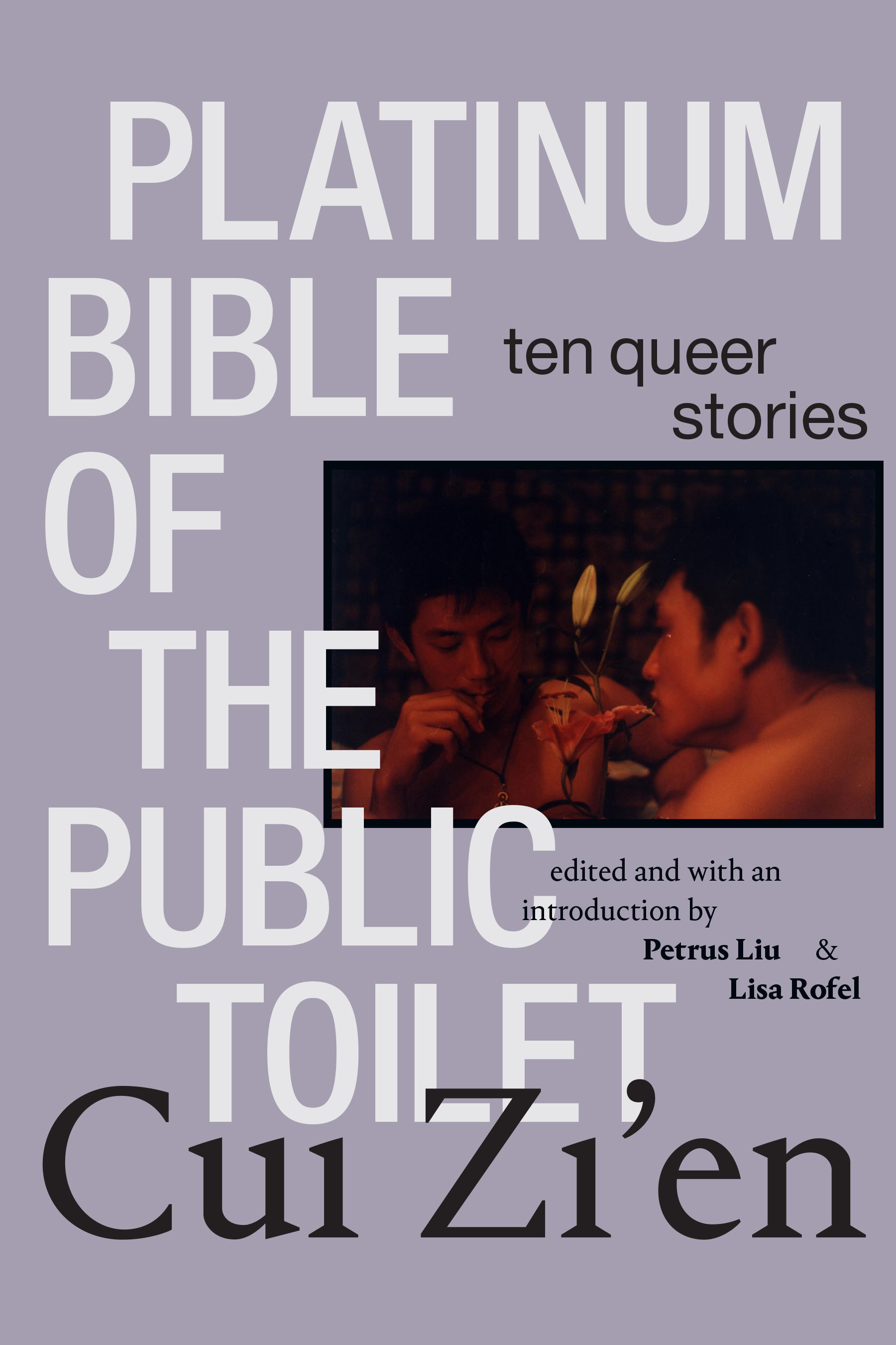 Platinum Bible of the Public Toilet: Ten Queer Stories (Sinotheory)