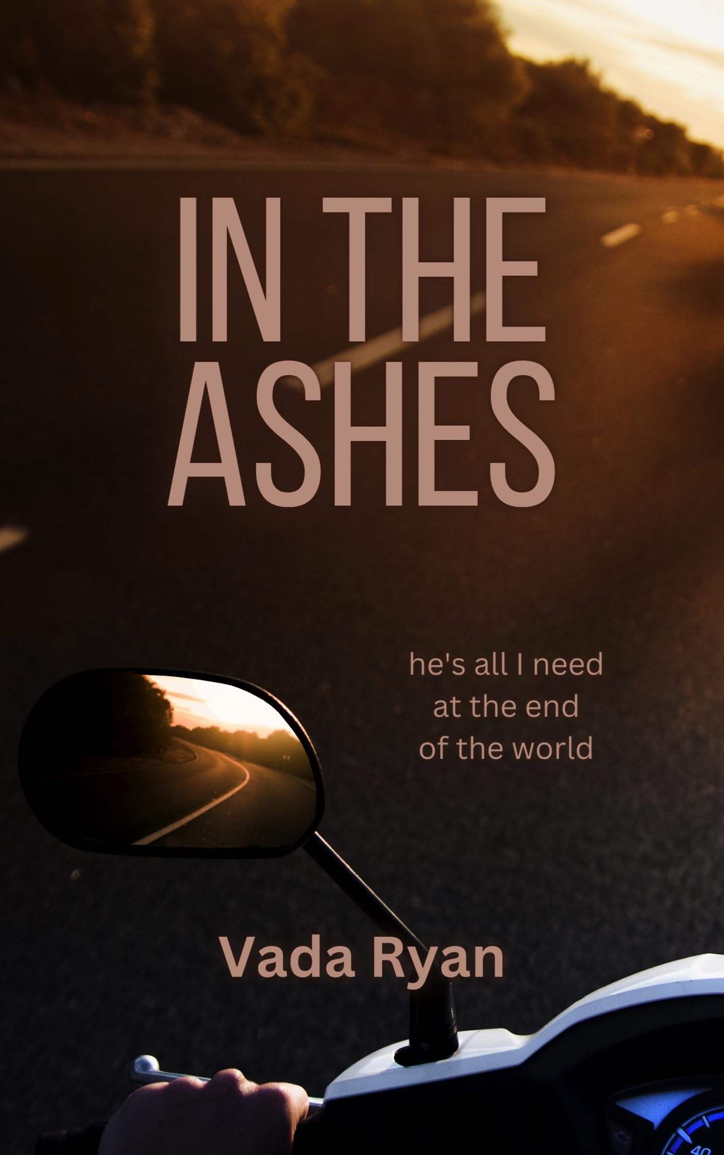 In the Ashes: A Post-Apocalyptic Romance (Kindle Edition)