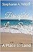 Briarfield Lane Series: A Place to Land