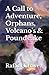 A Call to Adventure, Orphan...