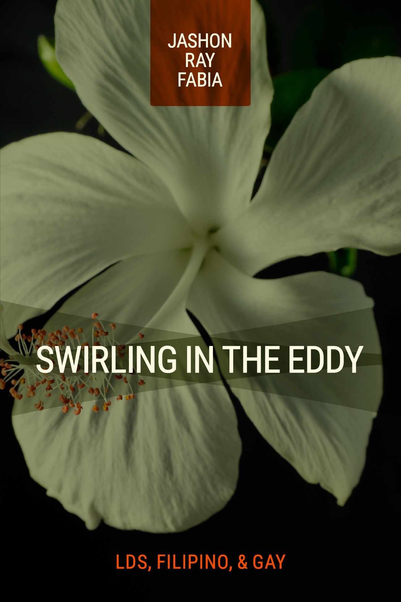 Swirling in the Eddy: LDS, Filipino, & Gay