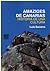 Amaziges de Canarias: Historia de una cultura
