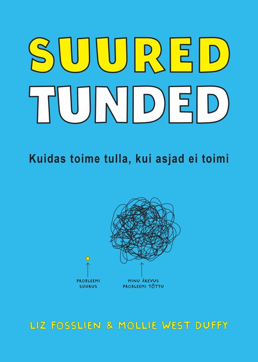 Suured tunded: kuidas toime tulla, kui asjad ei toimi