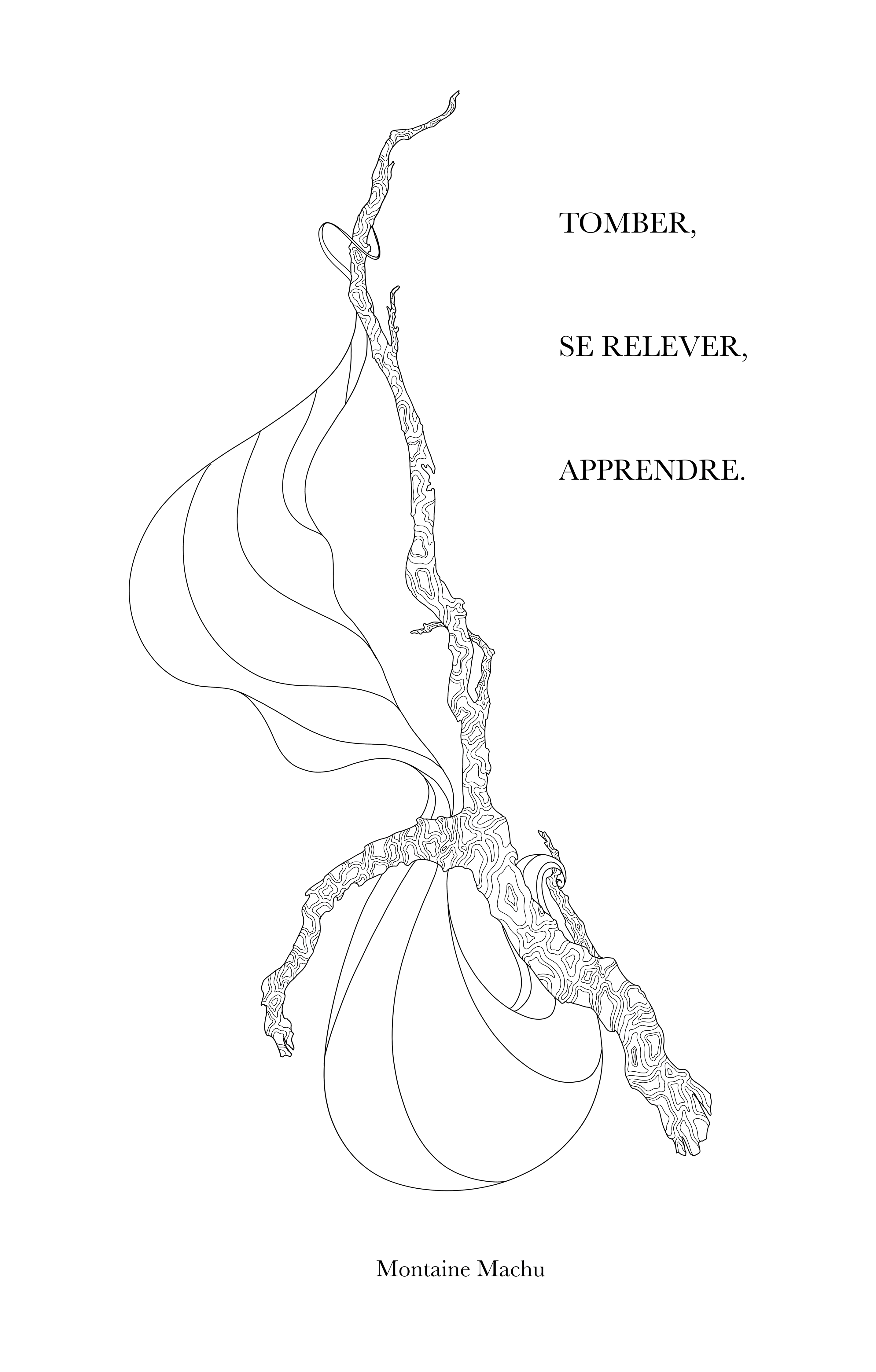 Tomber, se relever, apprendre (French Edition)