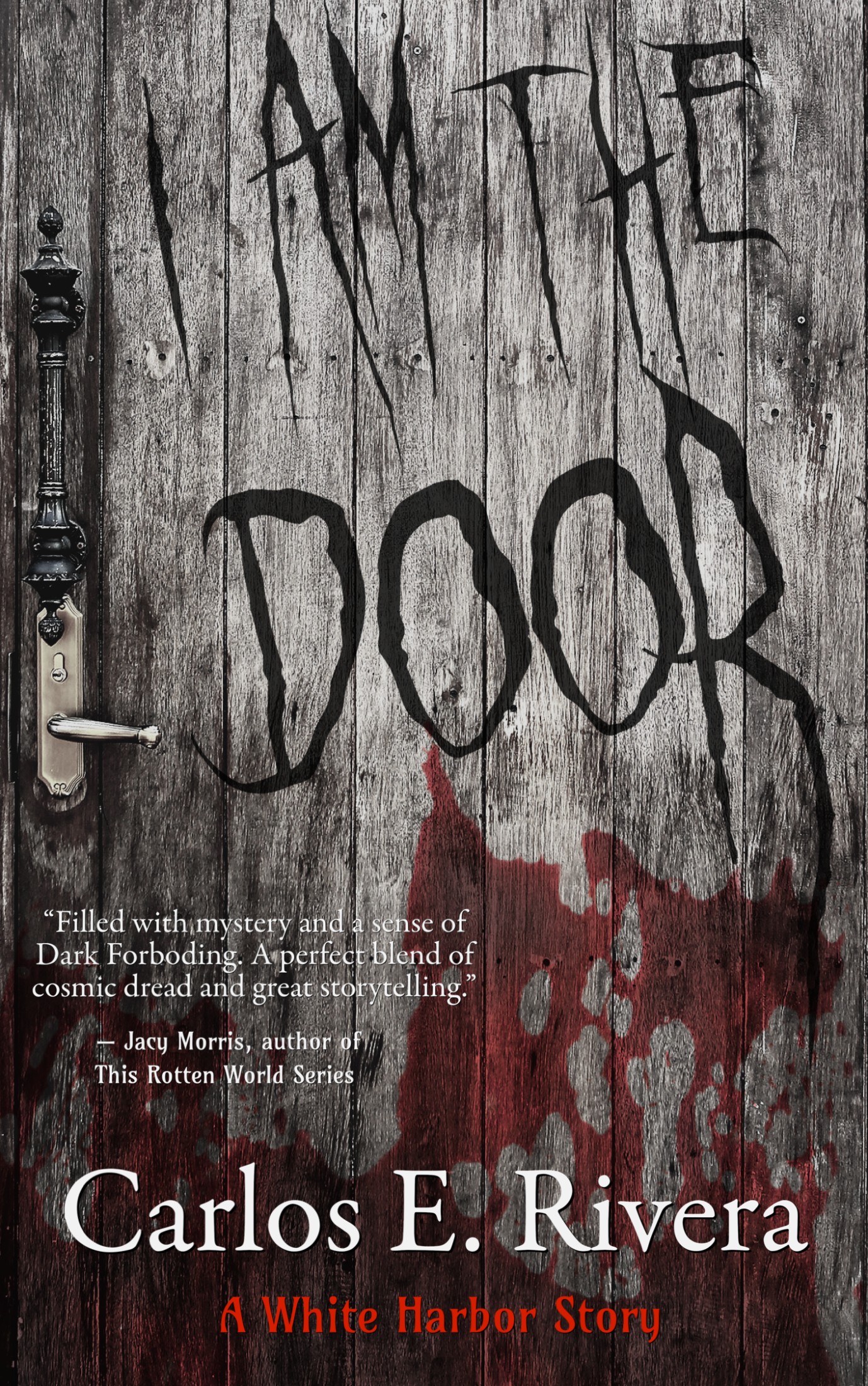 I am the Door (ebook)