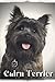 Cairn Terrier by Nina Pustova
