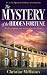 The Mystery of the Hidden Fortune: Totally gripping cozy private detective fiction (The Quentin Cadbury Investigations)