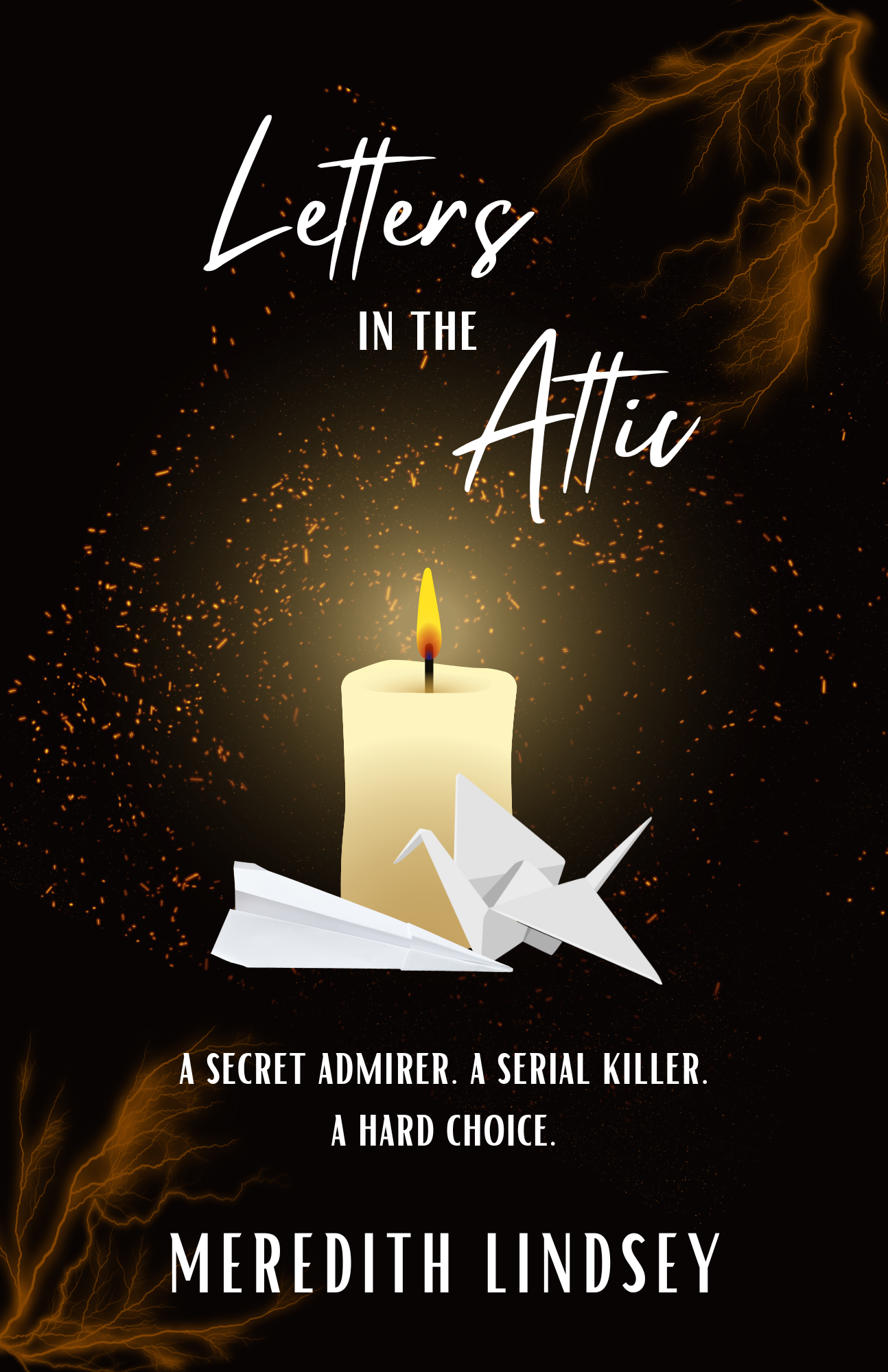 Letters in the Attic (Kindle Edition)
