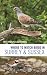 Where to Watch Birds in Sur...