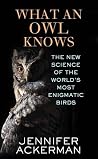 What an Owl Knows...