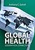 Global Health: Geographical Connections (Agenda Human Geographies)