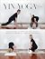 Yin Yoga 50+ by Paul Steele