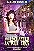 The Enchanted Antique Shop ...