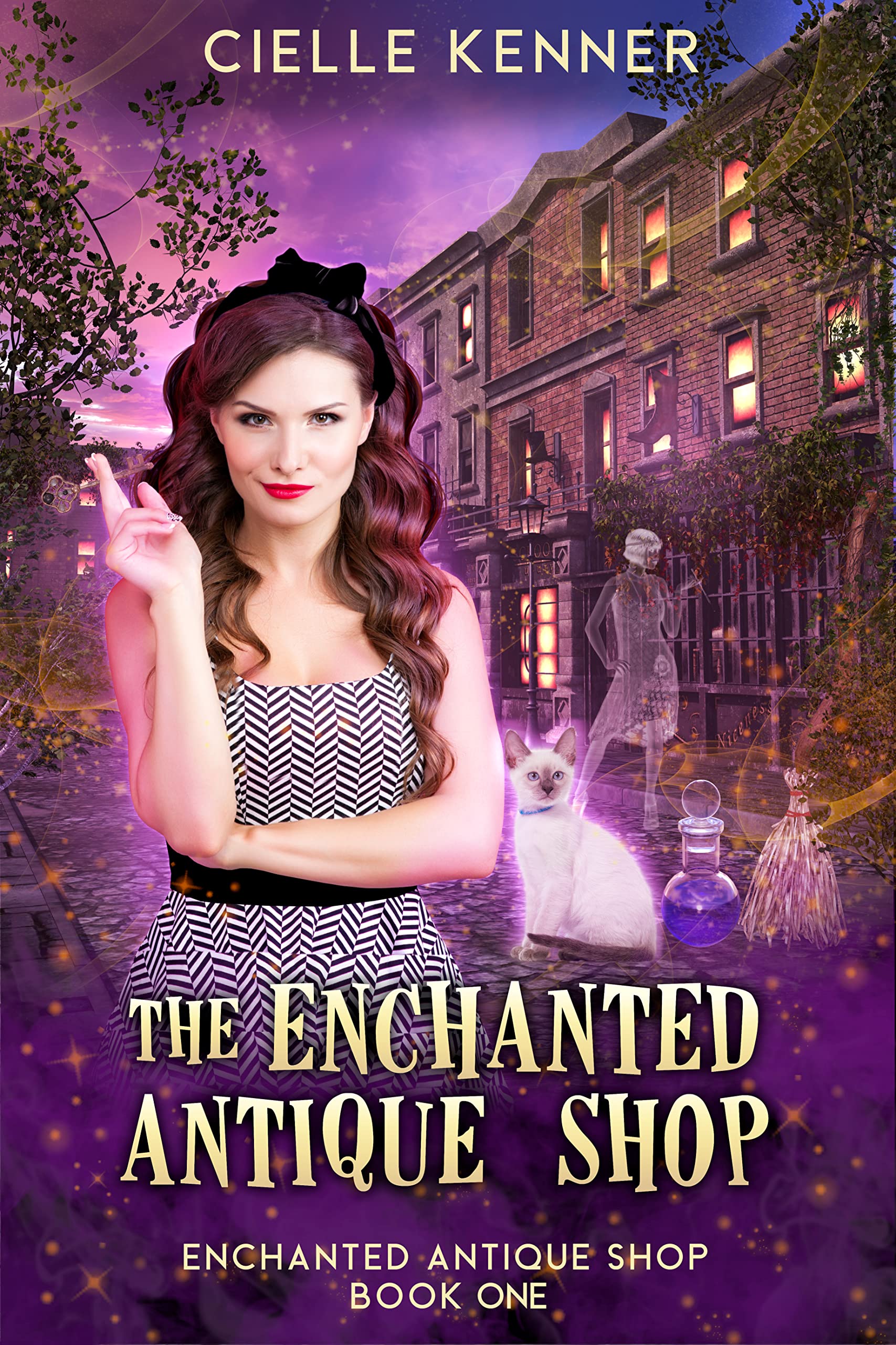 The Enchanted Antique Shop (Kindle Edition)