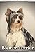 Biewer Terrier: Dog breed o...