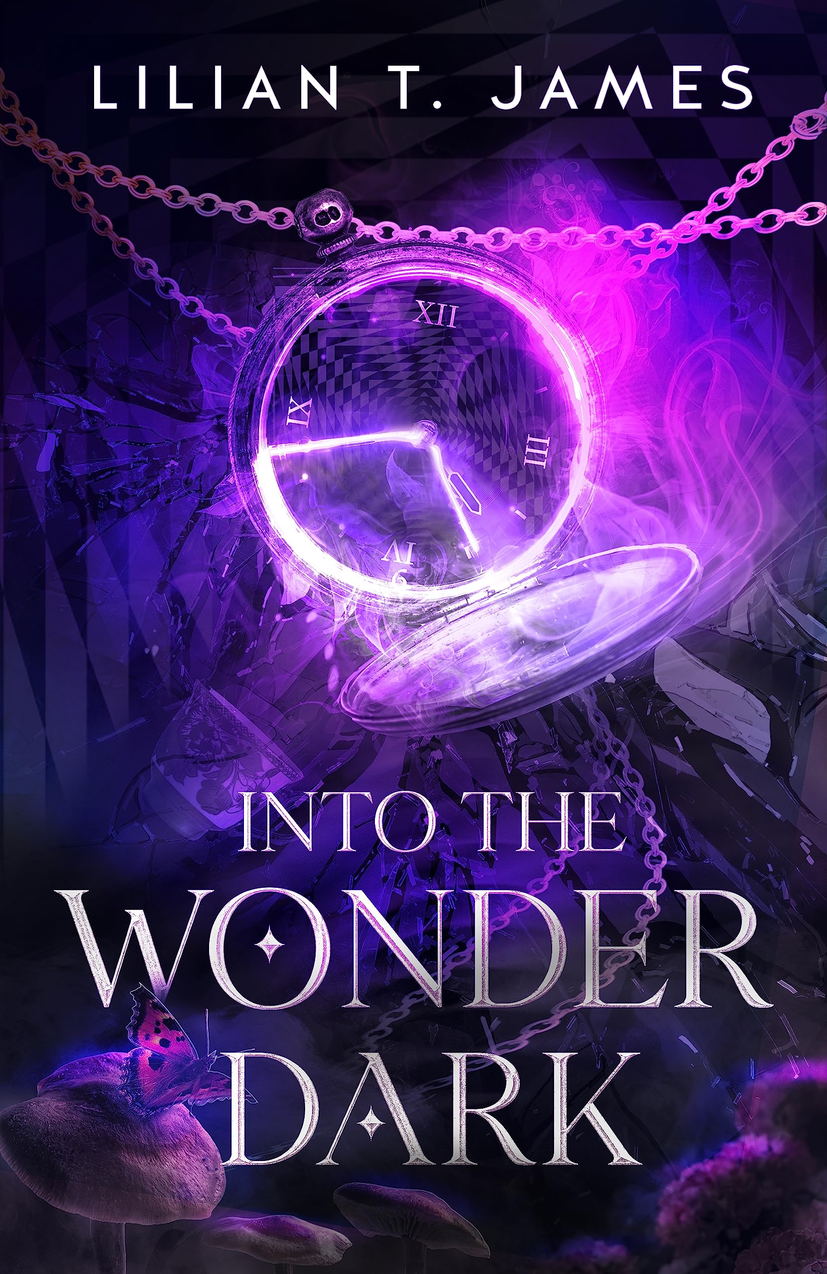 Into the Wonder Dark (Kindle Edition)