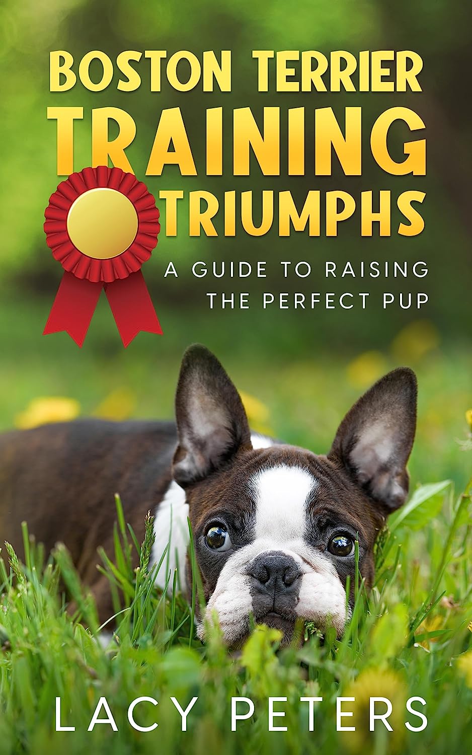 Boston Terrier Training Triumphs: A Guide to Raising the Perfect Pup