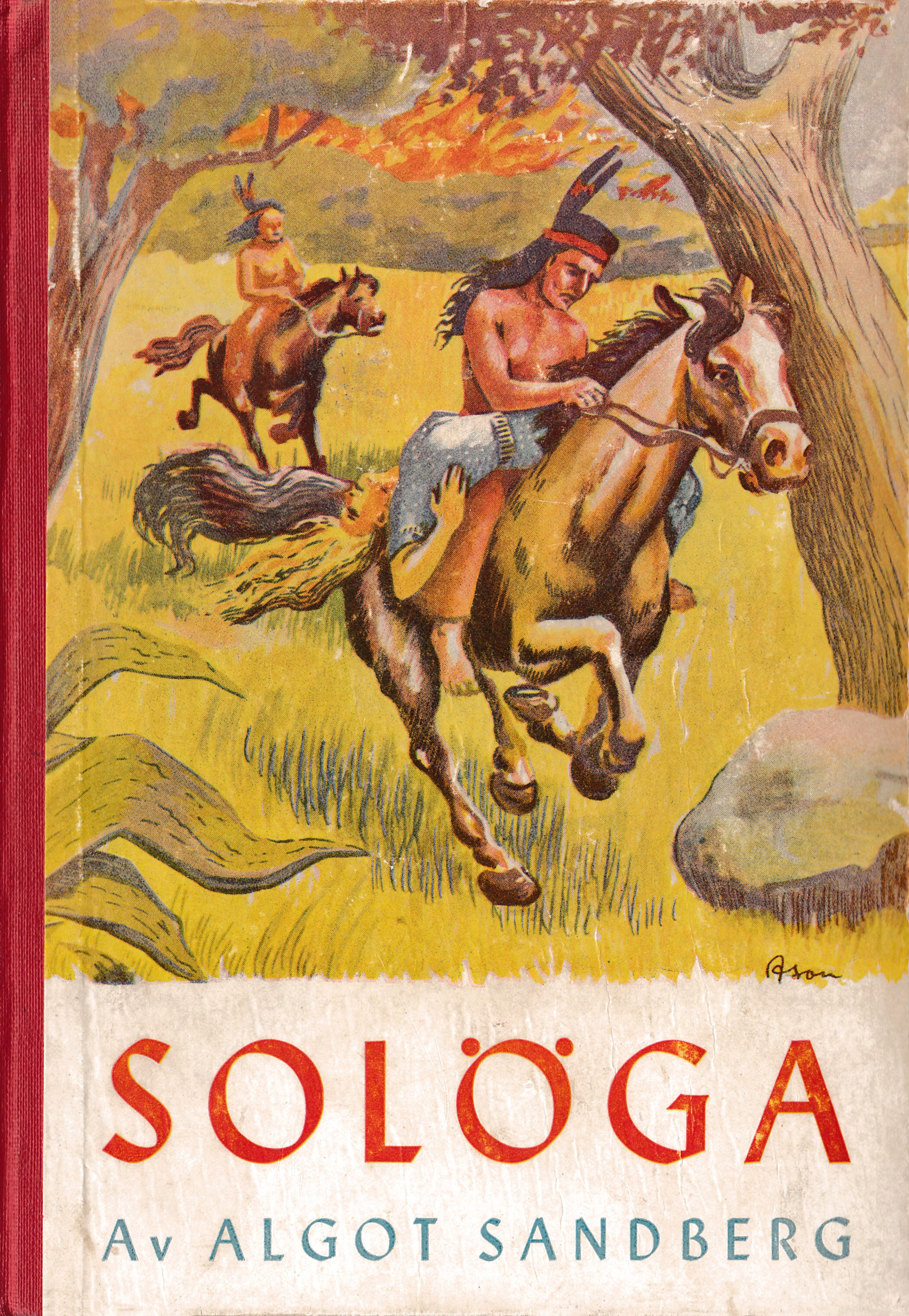 Solöga eller Svenskarna i Delaware : berättelse för ungdom från den första svenska utvandringen till Amerika (Hardcover)