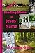 DND #3 Finding Home In Jesus' Name (In Jesus' Name Series; DND (Dandelions Never Die) - In Jesus' Name)