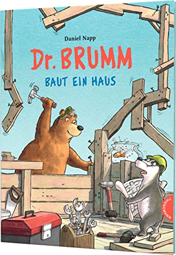 Dr. Brumm baut ein Haus (Hardcover)
