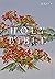 NRSV Catholic Edition Bible, Royal Poinciana Hardcover (Globa... by Catholic Bible Press