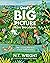 God's Big Picture Bible Storybook: 140 Connecting Bible Stories of God's Faithful Promises (God’s Big Picture Bible Stories)
