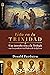 Vida en la Trinidad: Una introducción a la teología con la ayuda de los padres de la iglesia (Colección Raíces) (Spanish Edition)