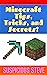 Minecraft Tips, Tricks, and...