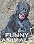 A Photo Book Of Funny Anima...