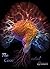 The Connected Brain: OHBM B...