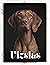 Vizslas: Dog breed overview...